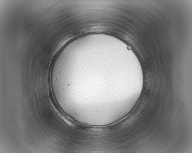 X0000059250794200511111640