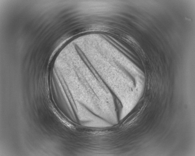 X0000059250796200511111640