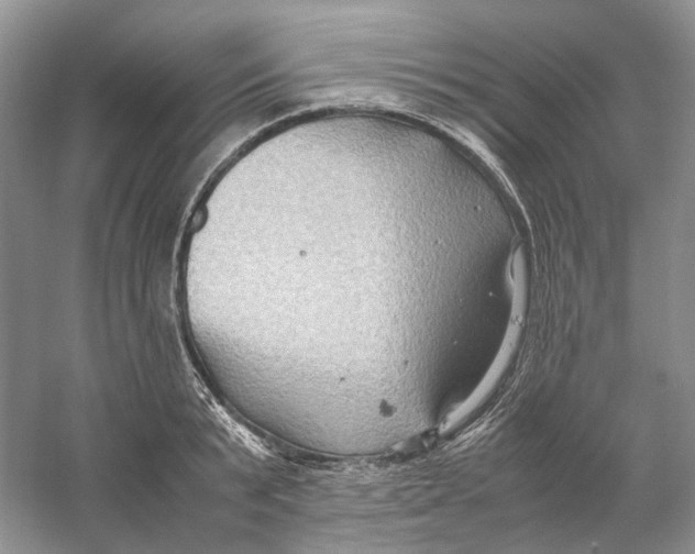 X0000059250799200511111640