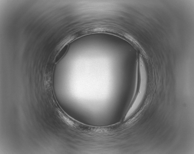 X0000059250801200511111640