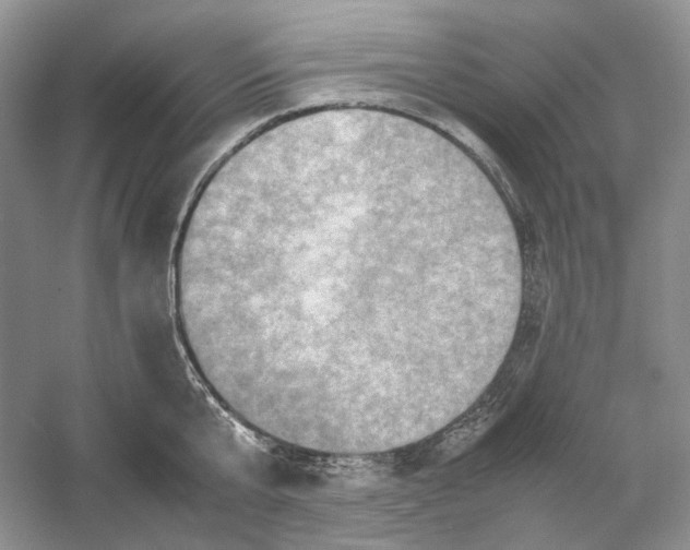 X0000059250807200511111639