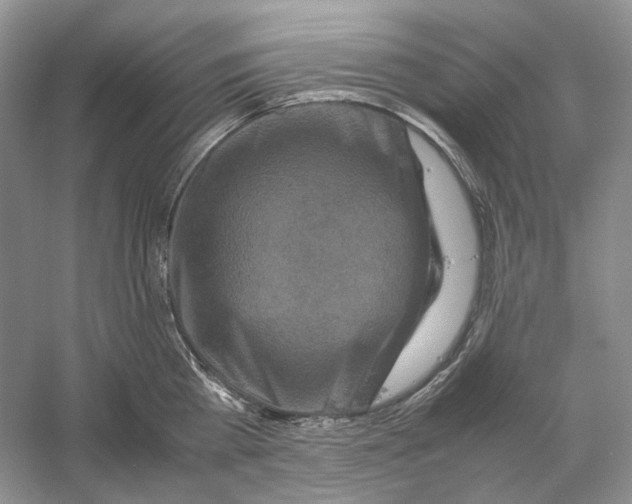 X0000059250809200511111639