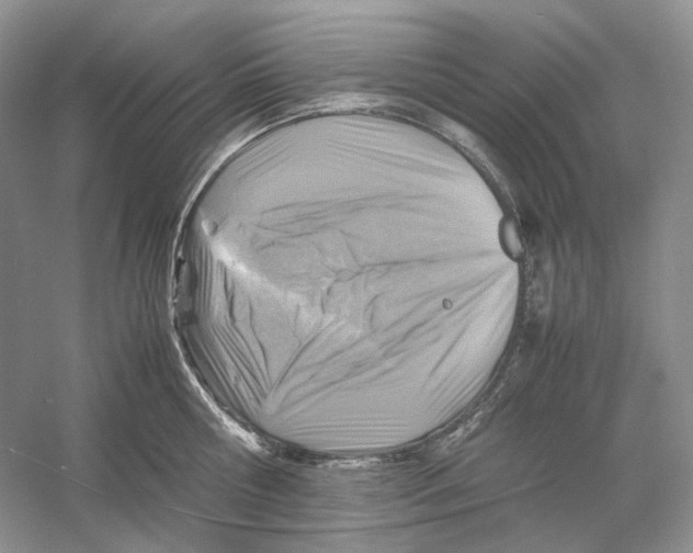 X0000059250810200511111639