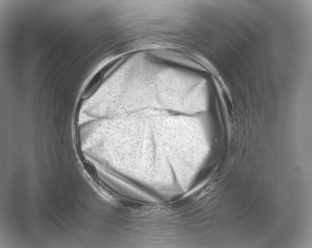 X0000059250811200511111639