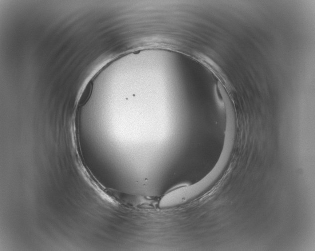 X0000059250812200511111639