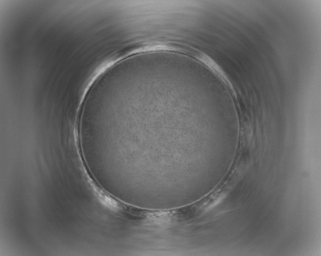 X0000059250813200511111639