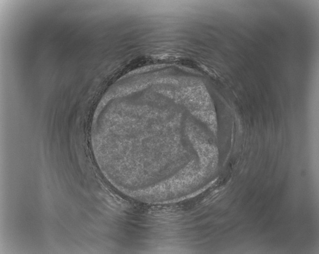 X0000059250817200511111638