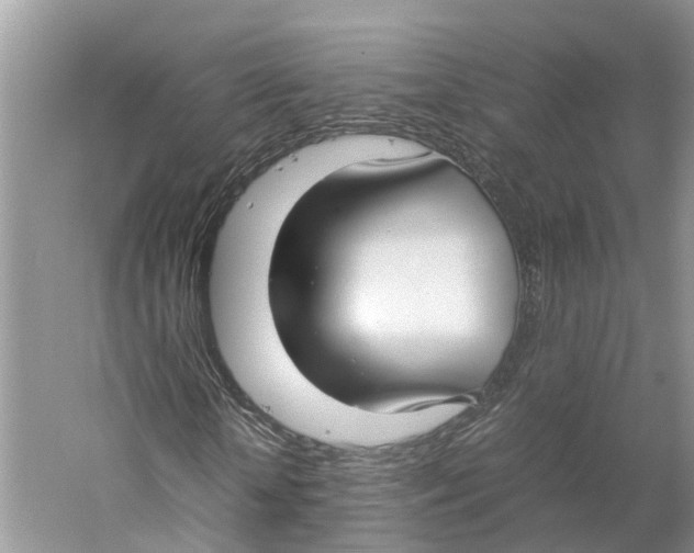 X0000059250818200511111639