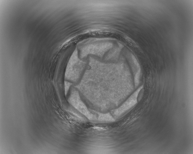 X0000059250822200511111639