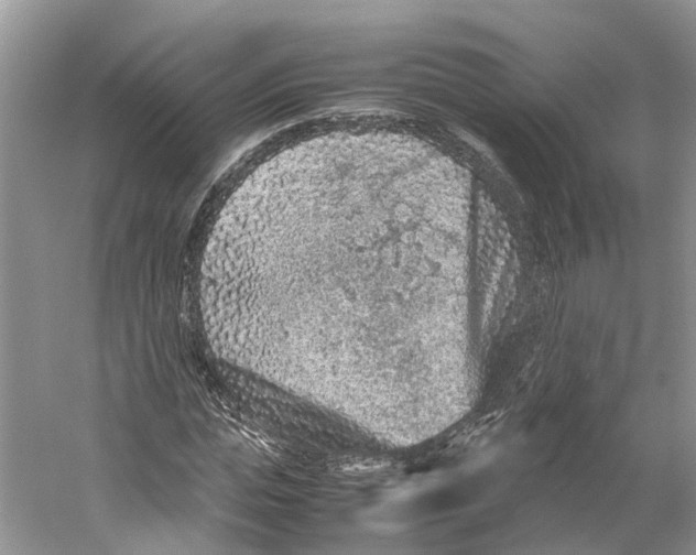 X0000059250823200511111639