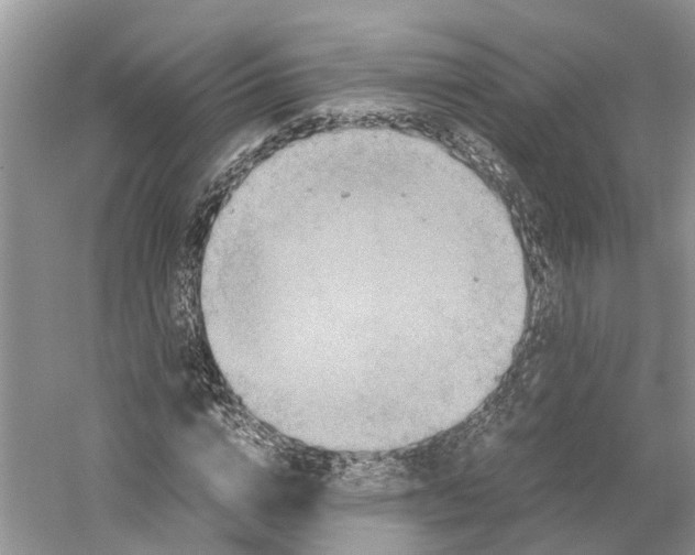 X0000059250824200511111639