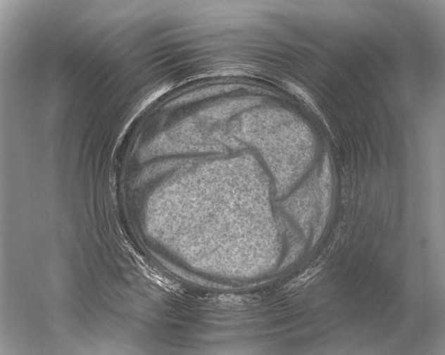 X0000059250827200511111639