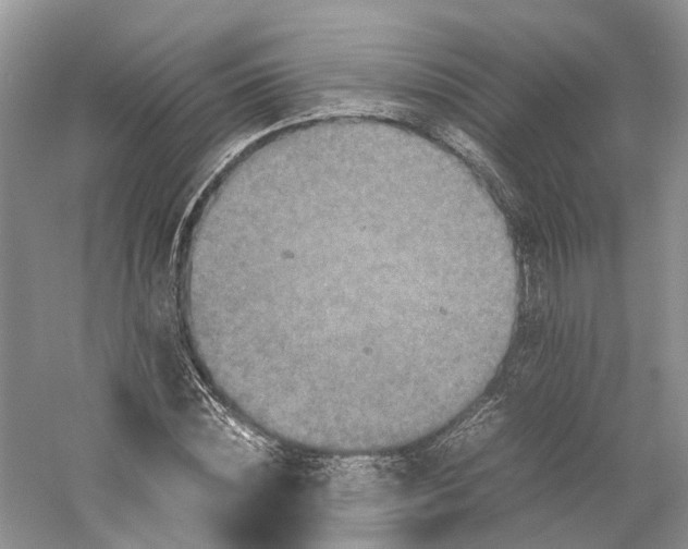 X0000059250828200511111639