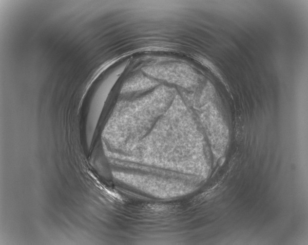 X0000059250829200511111639