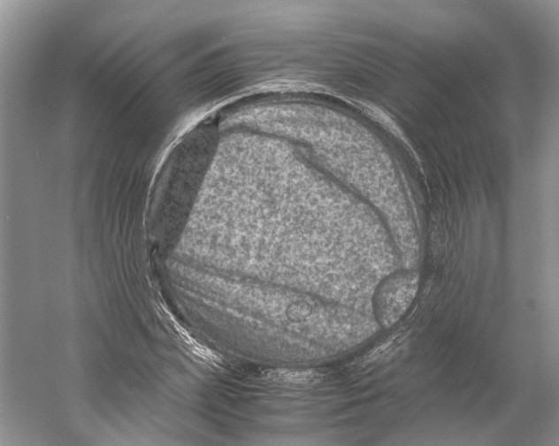 X0000059250831200511111639