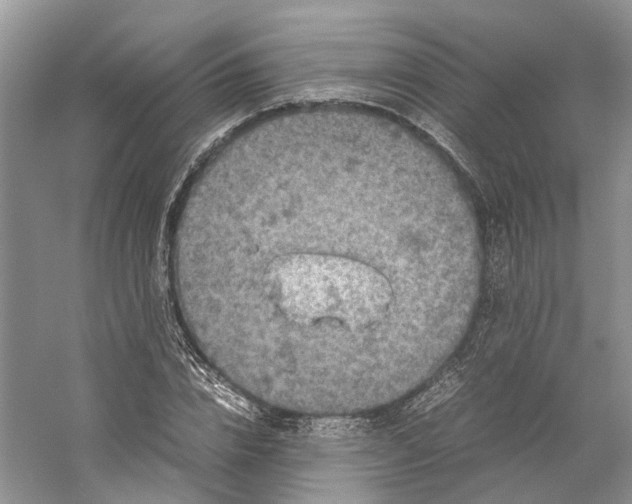 X0000059250832200511111639