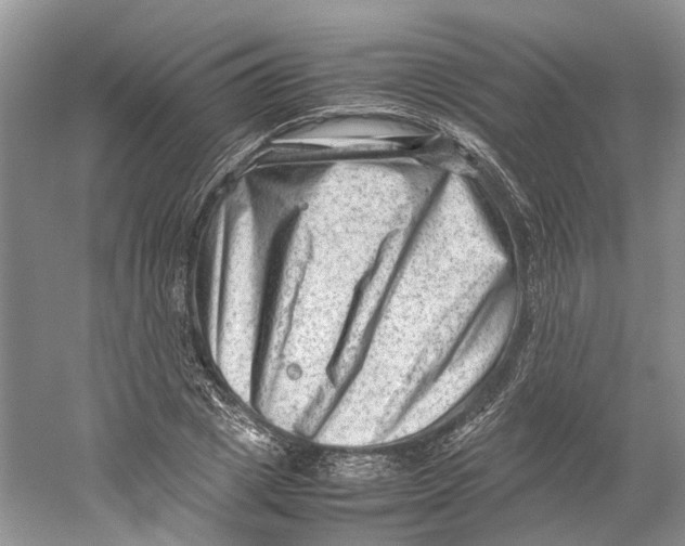 X0000059250833200511111639