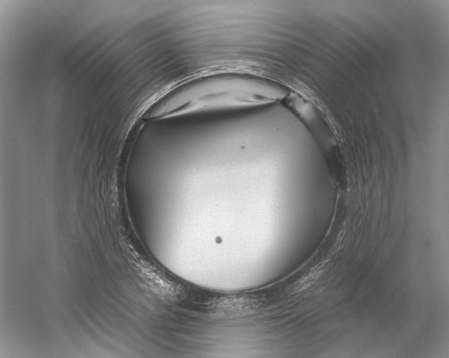 X0000059250834200511111639