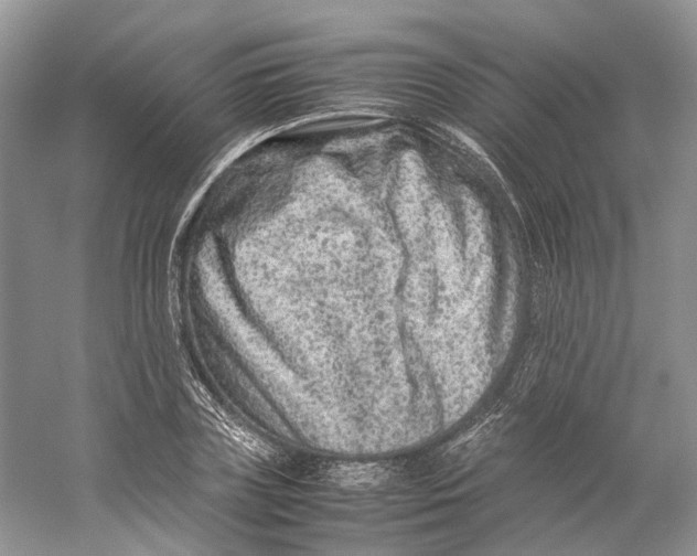 X0000059250835200511111639