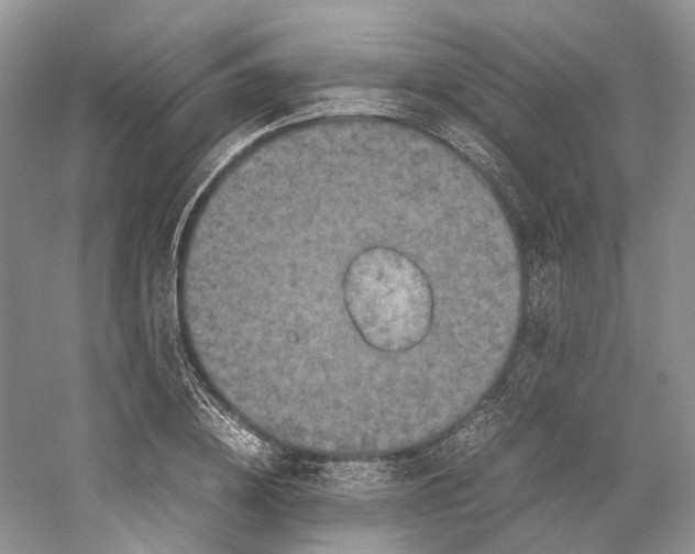 X0000059250836200511111639