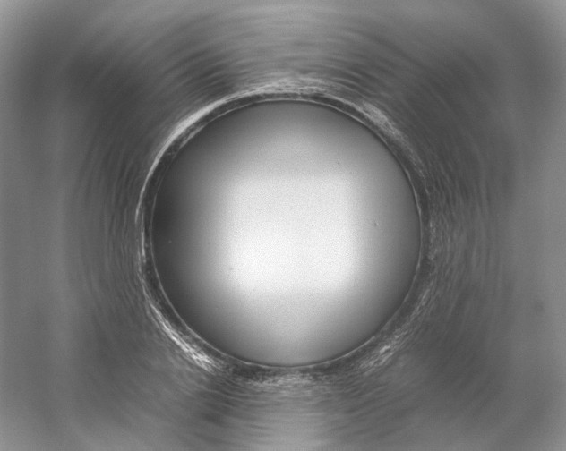 X0000059250838200511111639