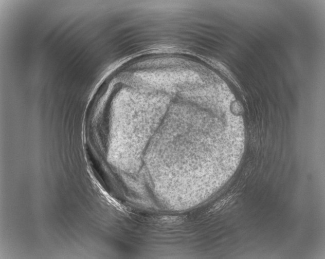 X0000059250839200511111639