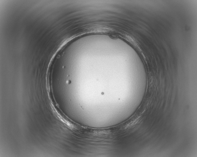 X0000059250843200511111639