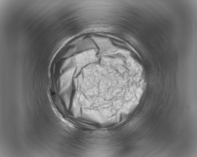 X0000059250844200511111639