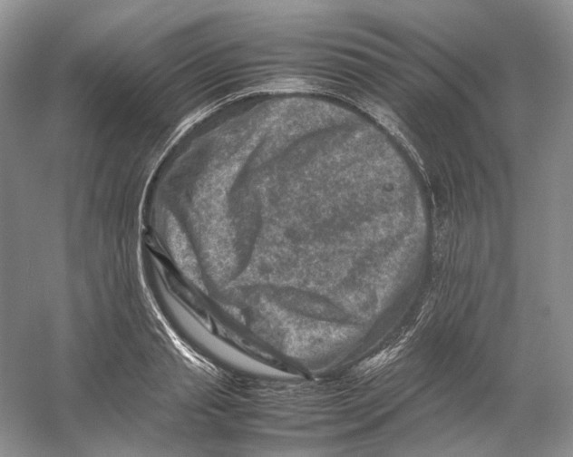 X0000059250845200511111639