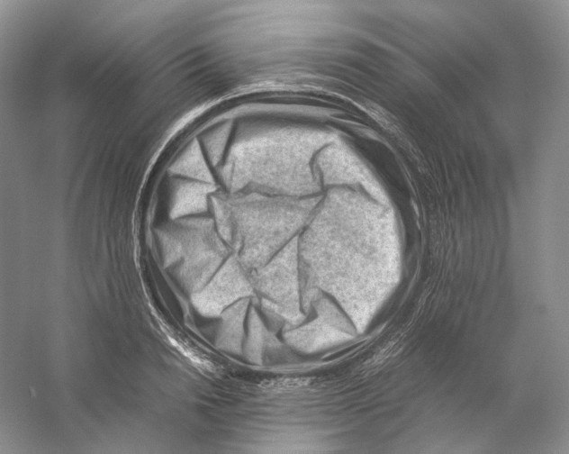 X0000059250846200511111639