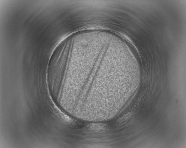 X0000059250847200511111639