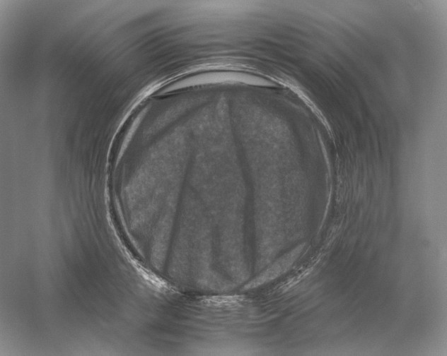 X0000059250853200511111639