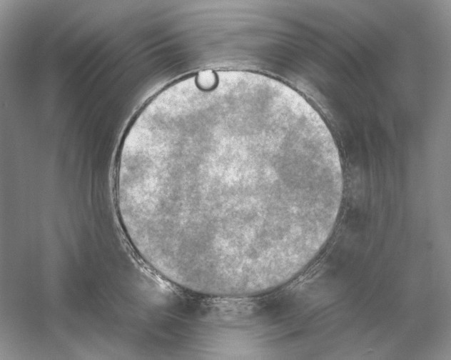 X0000059250856200511111639