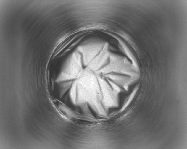 X0000059250858200511111639