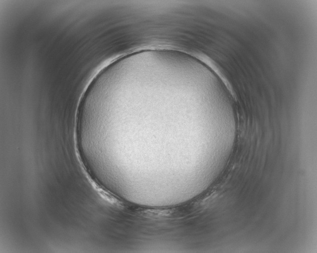 X0000059250861200511111639