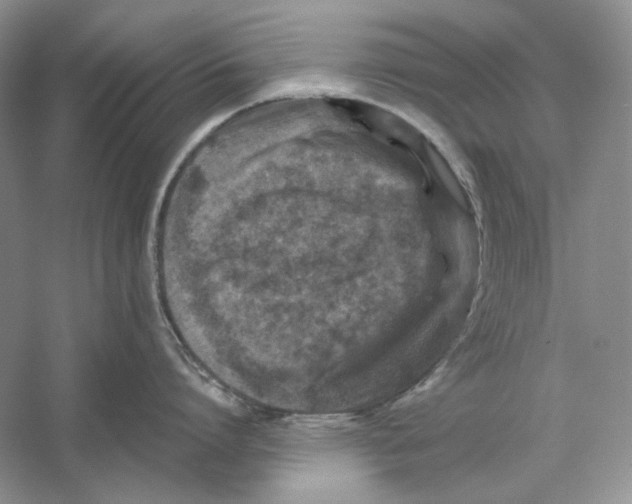 X0000059250864200511111639