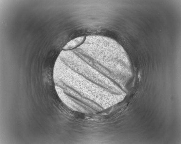 X0000059250867200511111638