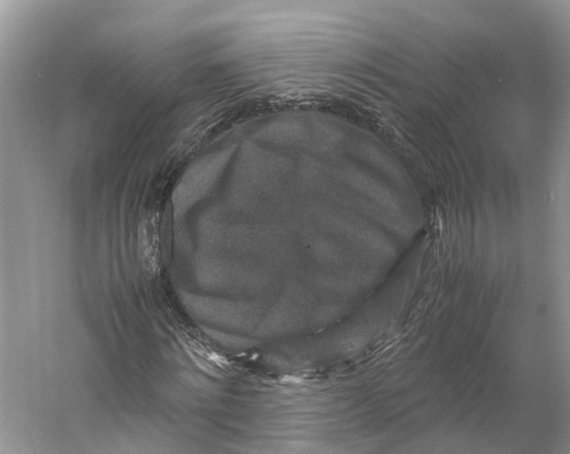 X0000059250868200511111638