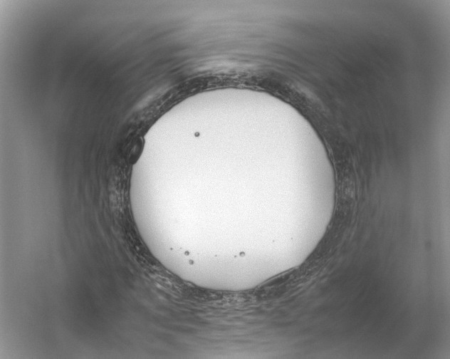 X0000059250869200511111638