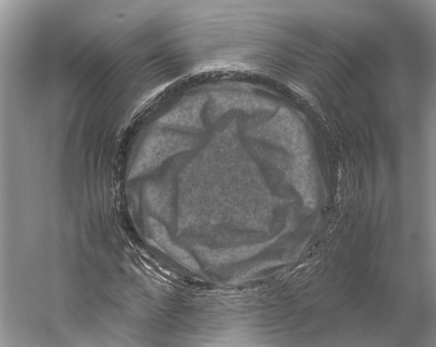 X0000059250872200511111638