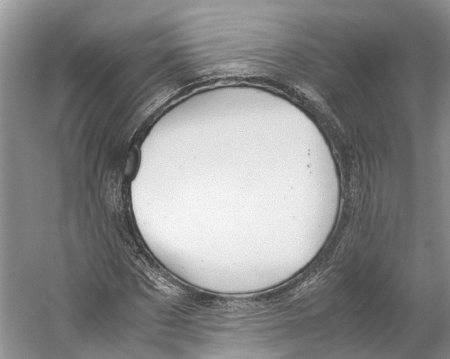 X0000059250873200511111638