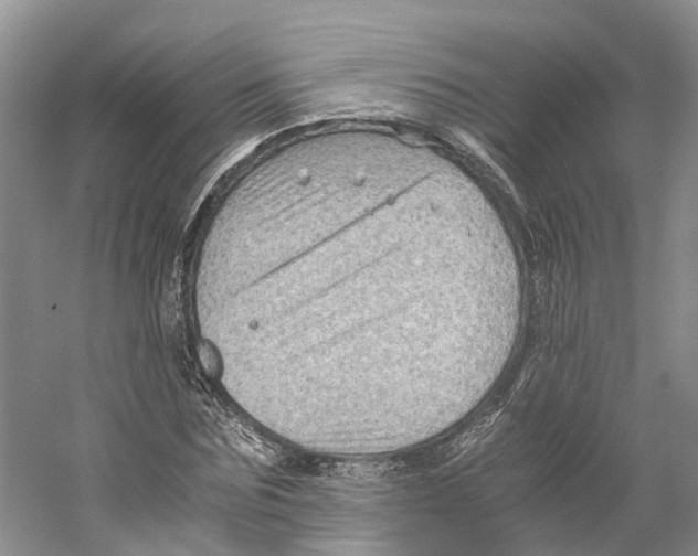 X0000059250875200511111638