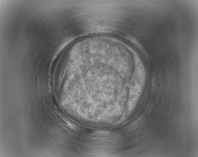 X0000059250878200511111638