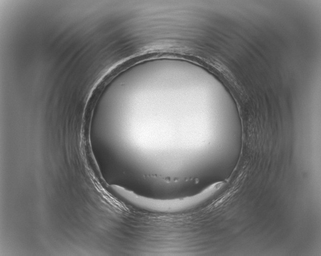 X0000059250880200511111638