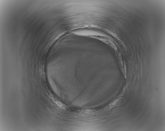 X0000059250881200511111638