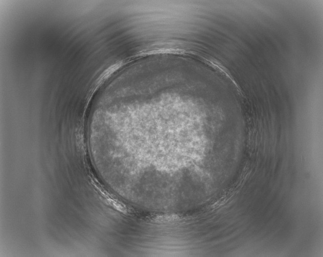 X0000059250882200511111638