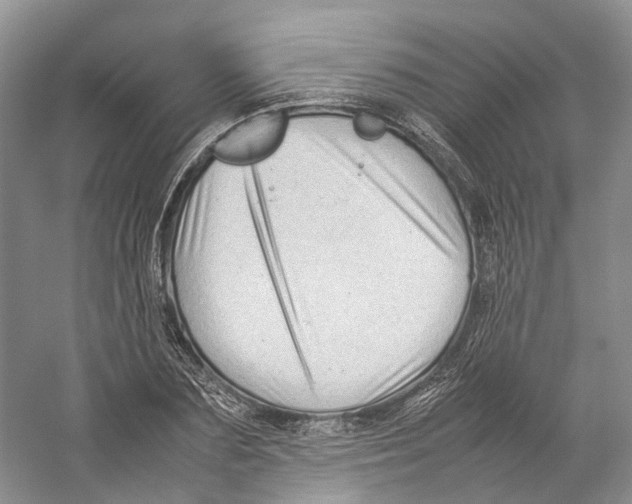 X0000059250883200511111638