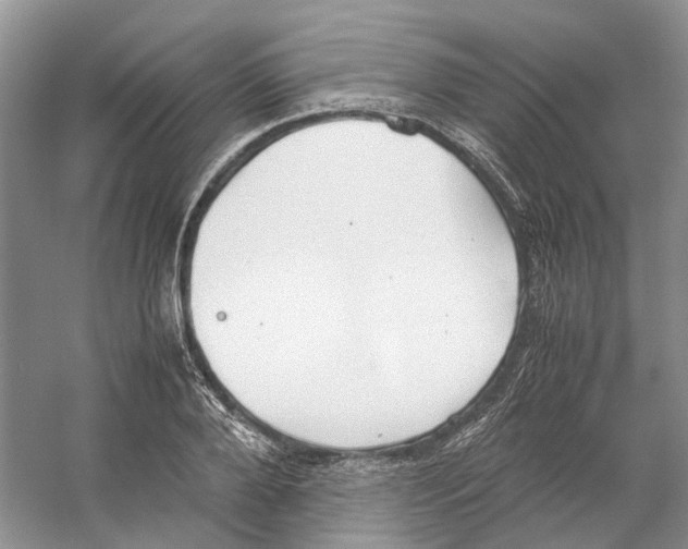 X0000059250888200511111638