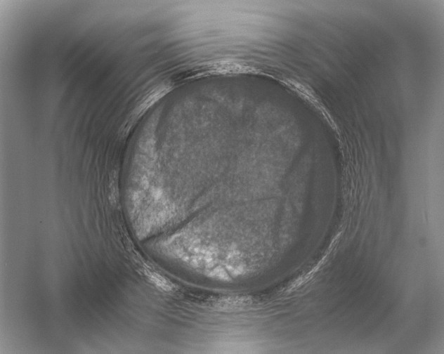 X0000059250889200511111638