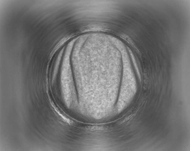 X0000059250890200511111638